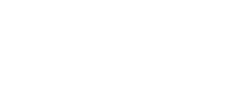 Faymes logo
